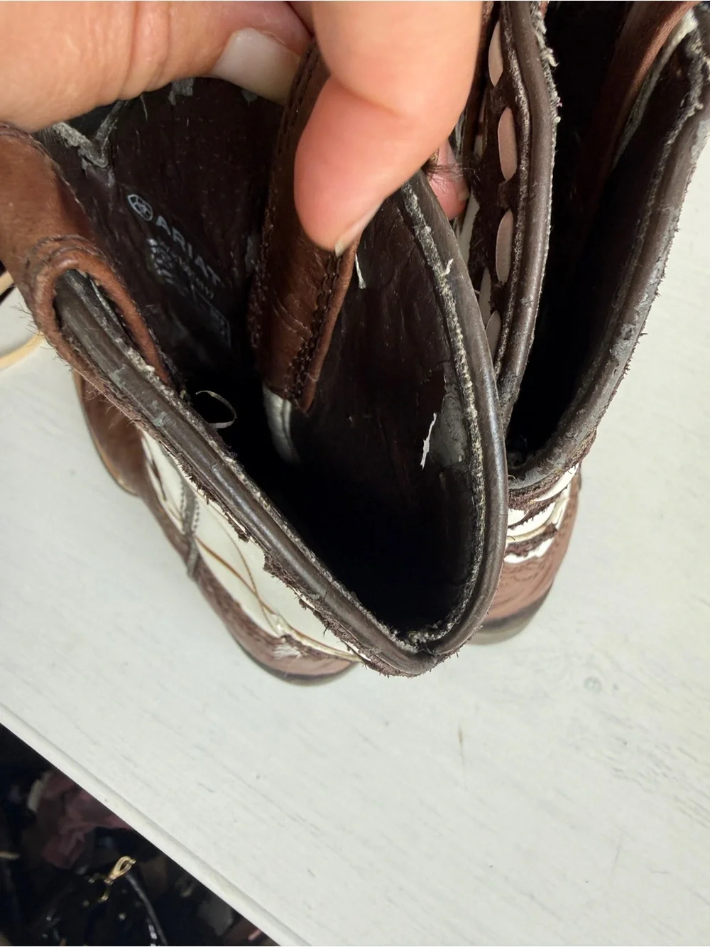 Ariat we ve